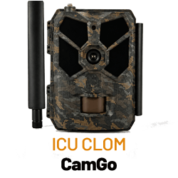ICU CLOM CamGo